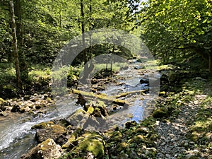 Small mountain river GerovÃÂica, Zamost - Region of Gorski kotar, Croatia / Mala gorska rijeka GerovÃÂica photo